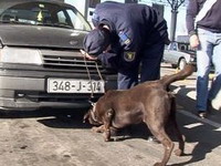 Poduzete mjere za bržu kontrolu putnika