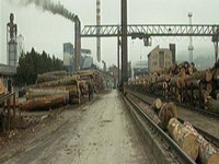Vlada FBiH, Krivaja i Ferimpex formirali novo preduzeće - Krivaja 1884