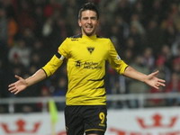 Novi gol Ibiševića za pobjedu Hoffenheima