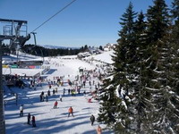 Kopaonik: kompletan ski vodič