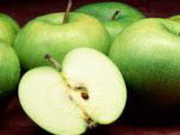 Jabuke protiv karcinoma dojke