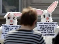 Više od 280 demonstracija širom Francuske