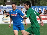 Ibišević matirao i galinovića