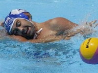 "Delfini" neće da kalkulišu