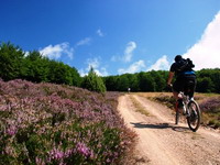 Bitovnja - planina sa hiljadu vrela