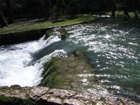 Drastično zagađenje rijeke Bosne