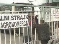 Nezadovoljni radnici Agrokomerca blokirali prilaze upravnoj zgradi i proizvodnom kompleksu