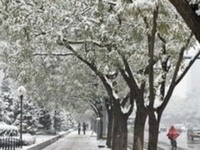 Sniježna oluja u Kini odnijela 38 života