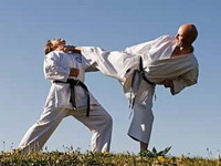 Karate: Sedam medalja za reprezentaciju Bosne i Hercegovine