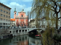 Slovenci ljubazni, Bosanci namrgođeni prema mušterijama