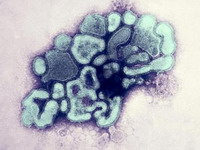 Koliko je "Tamiflu" delotvoran?