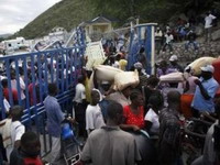 UN: Gotovo pola miliona osoba napustilo prijestonicu Haitija