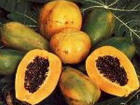 Istraživanje: Potvrđeno antikancerogeno djelovanje papaje