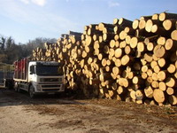 Izvoz veći od uvoza samo u drvnoj industriji