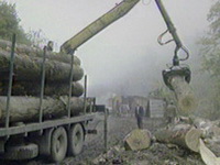 Kriminal u Šumarstvu i Šumexu iz Vareša prijavljen još 2007.