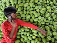Indija: Više mobilnih telefona nego toaleta