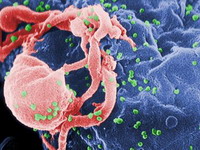U Srbiji registrovano 1.398 osoba zaraženih virusom HIV