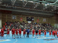 Bosna BH Gas brani naslov