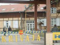 Polovina radnika "Krivaje" odustala od stečaja