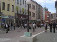 Banjalučane proteklih dana uznemirila sve češća pojava zmija u središtu grada
