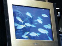 Prva 3D TV slika bez naočara