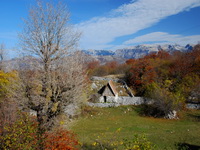 Jesen na Čabulji