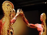 Istraživanje ljudske anatomije u 3D-u