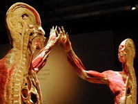 Istraživanje ljudske anatomije u 3D-u