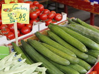 Epidemija E. coli mogla bi trajati mjesecima