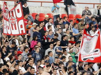 LE (kval): Sramota Vojvodine!!!