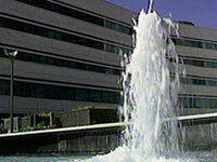 Zaposleni u državnim institucijama BiH za prijevoz naplate godišnje skoro 25 miliona maraka