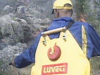 Lokalizovan požar na obroncima planine Ozren