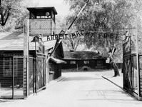 Najveći zločin se zaboravlja, mladi ne znaju gdje je Auschwitz