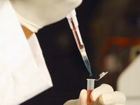 Obustavljano testiranje patogenog virusa H5N1