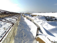 Zbrajaju se štete od snijega, a prijeti nova opasnost od poplava