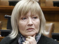 Kolundžija: Izbori redovni, nema raspuštanja parlamenta