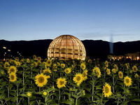 CERN loše izmerio, ništa od vremenske mašine