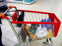 Januarska plata 'pokriva' 44% potrošačke korpe
