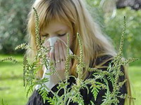 Kako umanjiti simptome alergije?