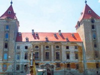 U austrijskom zamku Dragane Mirković otkriveni "ilegalci"