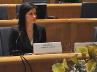 Denisa Sarajlić-Maglić s parlamentarcima Velike Britanije