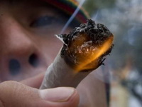 Detroit 7. avgusta glasa o legalizaciji marihuane