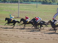 Konjičke utrke "BiH Trial Stakes" počinju 23. juna