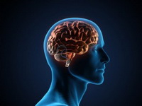 Veze u mozgu mogu predvidjeti inteligenciju