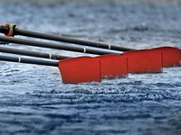 Sedmostruka svetska šampionka iz Mađarske vesla za Srbiju