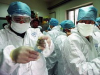 Virus sličan uzročniku SARS-a otkriven u Engleskoj