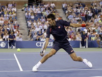 IMG: Đoković menja Federera
