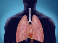 Pet stvari koje morate znati o raku pluća