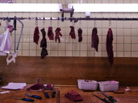 Irci prvi utvrdili odakle im sporna konjetina
