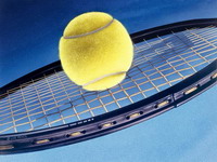 Bh. teniseri poraženi na ATP Challengeru u Ostravi